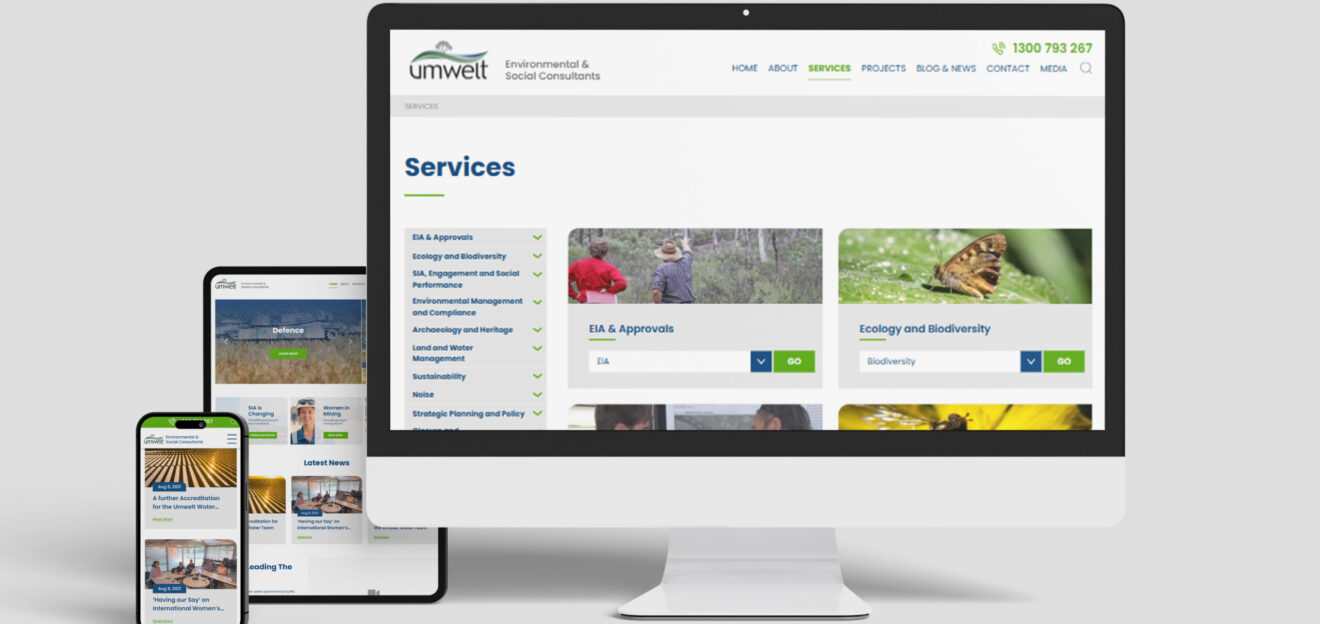 umwelt website develop