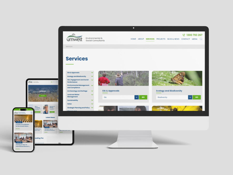 umwelt website develop