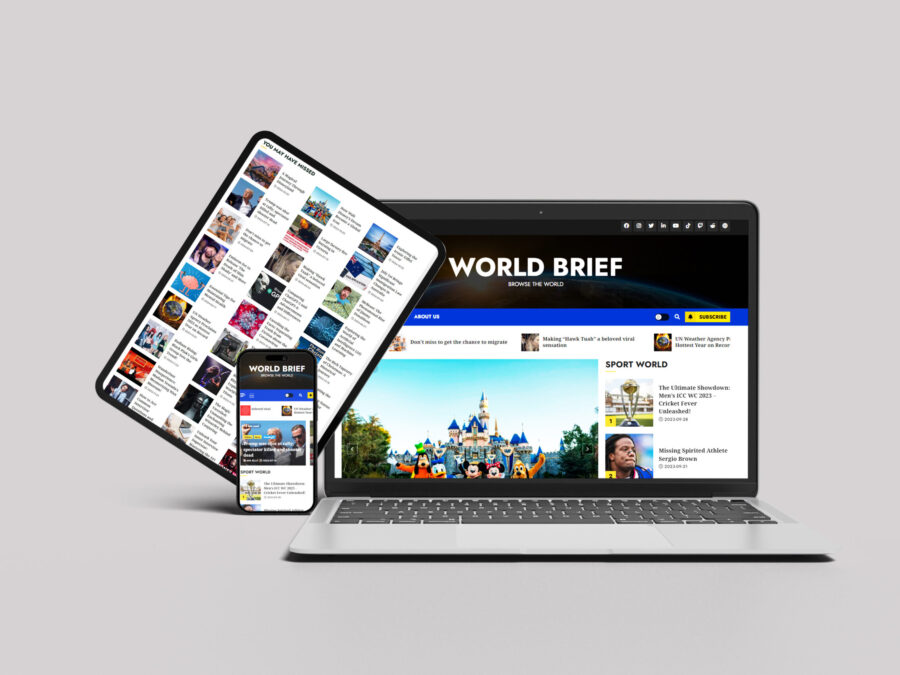 world brief web site build